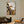 Abstraktes Wandbild „Warme Farbe“ mit Blumenmotiv