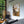 Abstraktes Wandbild „Warme Farbe“ mit Blumenmotiv