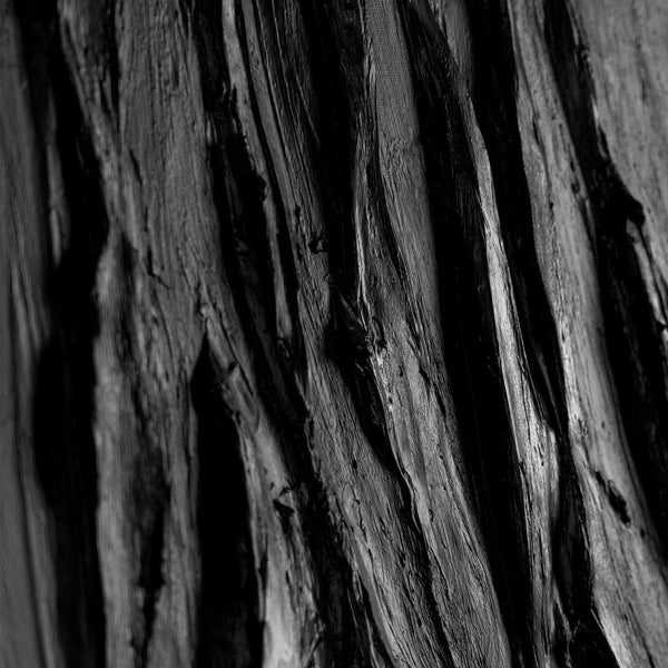 black canvas art unique artwork for sale