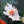 abstract flower painting