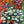 Gemälde „Mohn- und Gänseblümchen“ ausdrucksstarke Blumenkomposition im impressionistischen Stil.