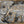 Gemälde „Paar in der Tiefe“ Relief-Tierabstraktion in Silber- und Goldtönen.