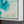 Gemälde „Weiße Blumen in türkisfarbenem Licht“ impressionistische Floristik in einer kalten Farbpalette