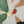 Gemälde „Gartenakzente“ moderne florale Komposition im Flat-Design-Stil
